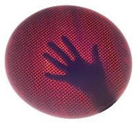 t5 µm　&Phi;300 mm Silicon Wafer
